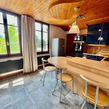 La Branche Du Cerisier Apartment Анси Екстериор снимка
